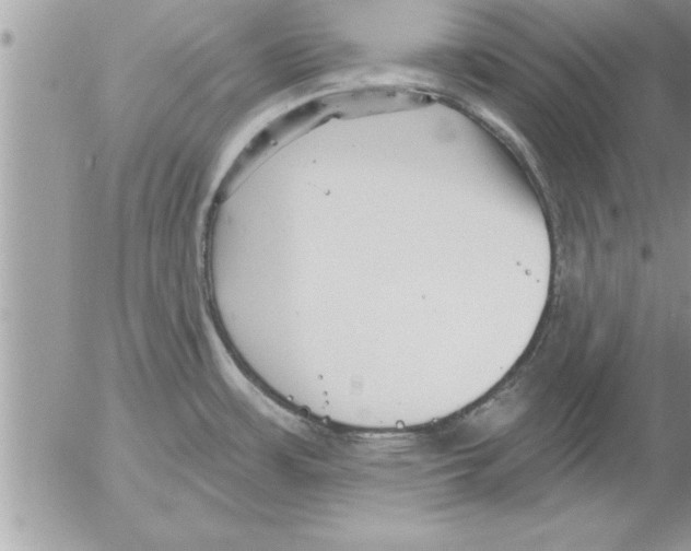 X0000052541483200507291838