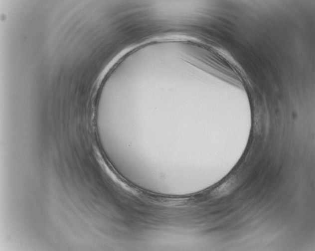 X0000052541484200507291838