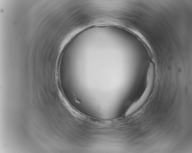 X0000052541485200507291838