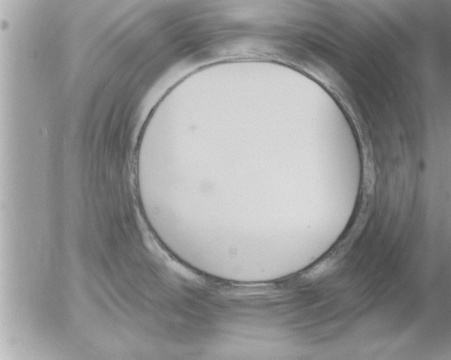 X0000052541486200507291838