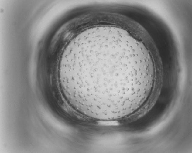 X0000052541487200507291838