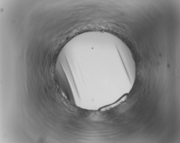 X0000052541490200507291837