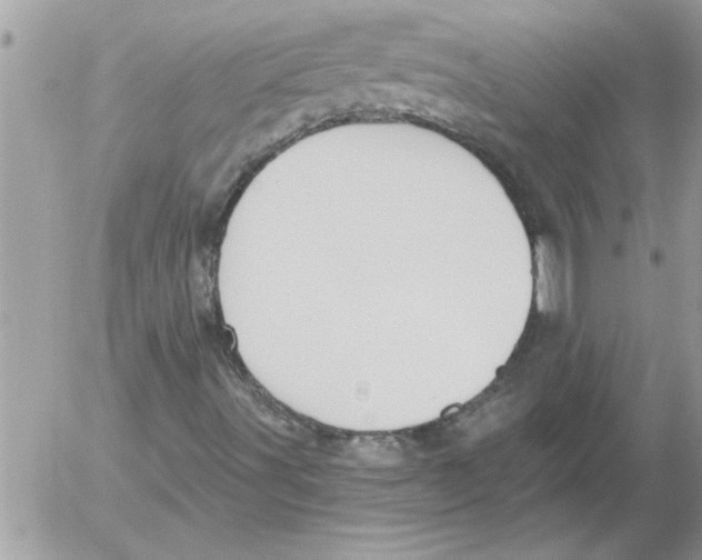 X0000052541491200507291837