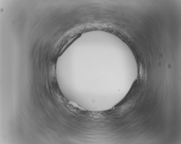 X0000052541492200507291837