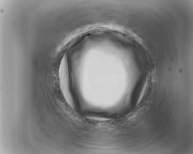 X0000052541496200507291837