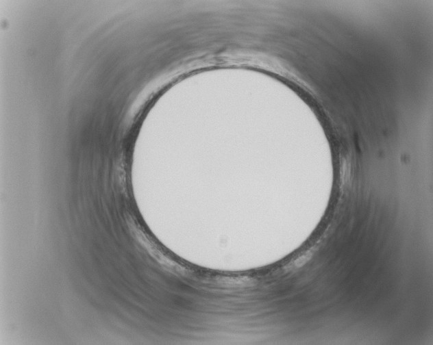 X0000052541498200507291837