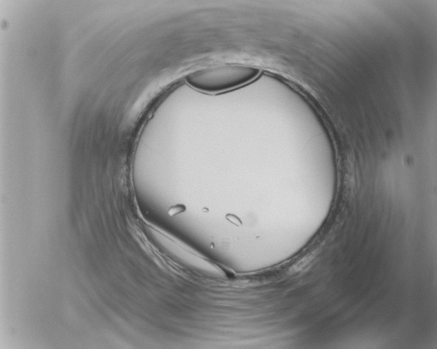 X0000052541499200507291837