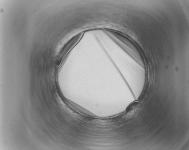 X0000052541500200507291837