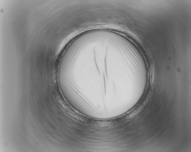 X0000052541501200507291837