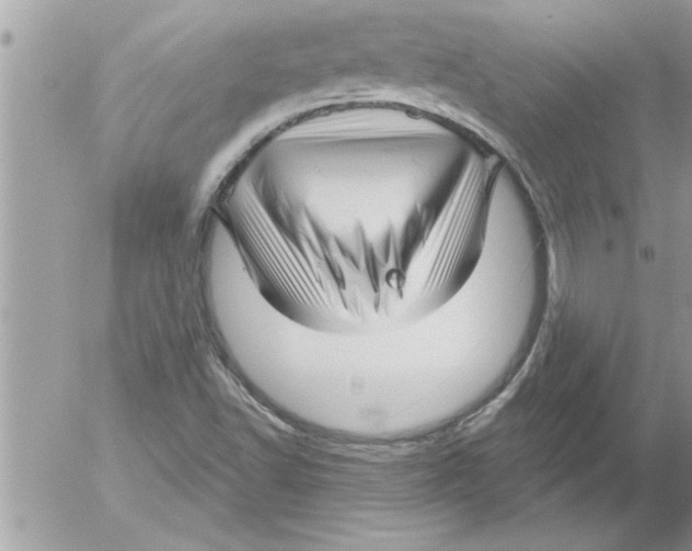 X0000052541502200507291837