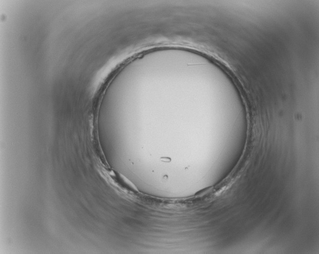 X0000052541503200507291837