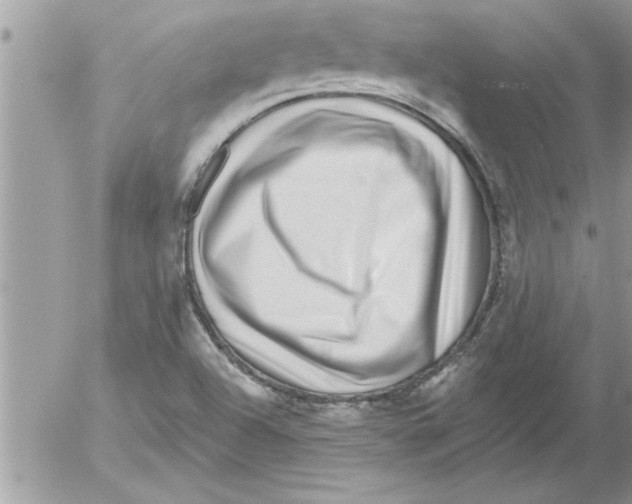 X0000052541504200507291837