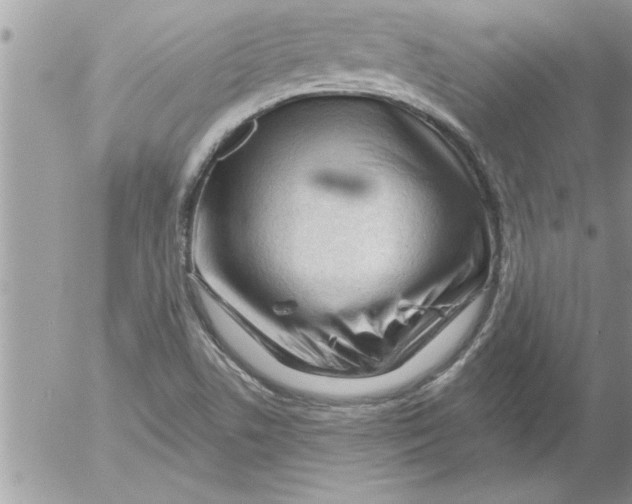 X0000052541506200507291837