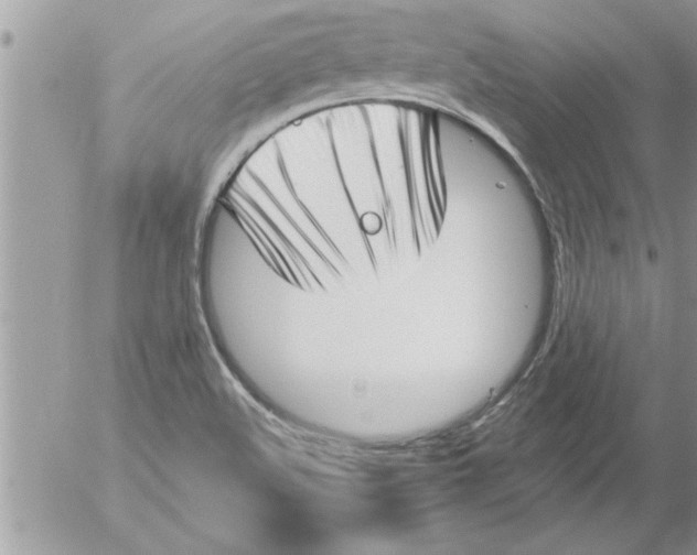 X0000052541508200507291837