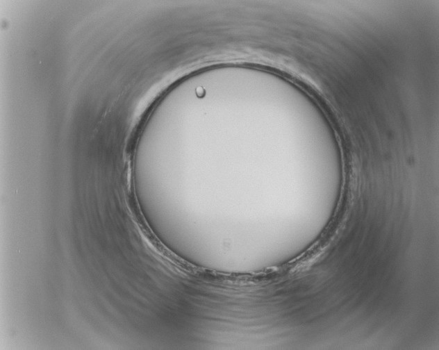 X0000052541509200507291837