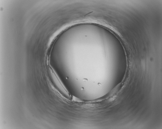 X0000052541510200507291837