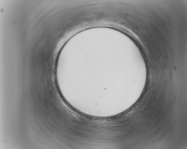 X0000052541512200507291837