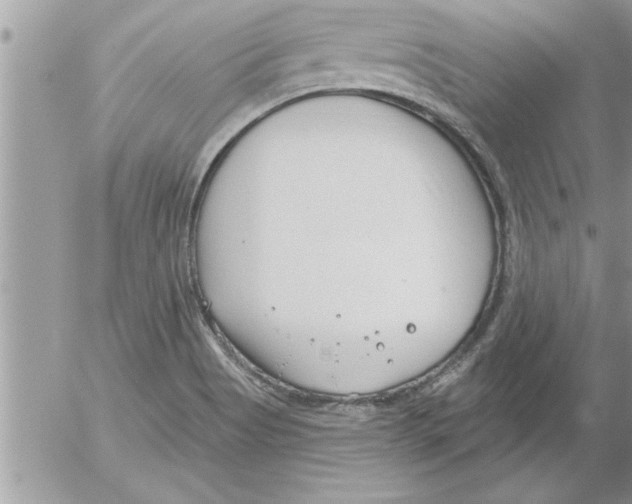 X0000052541513200507291837