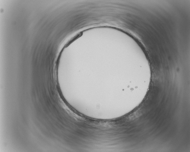 X0000052541516200507291837