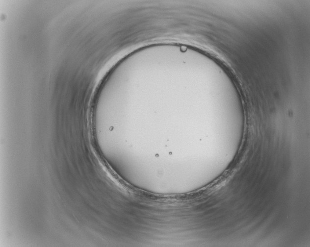 X0000052541517200507291837