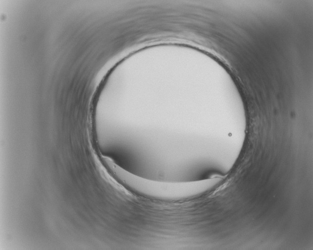 X0000052541518200507291837