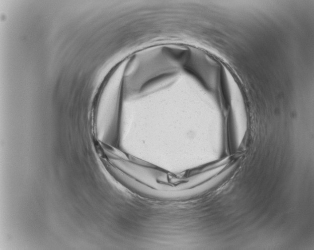 X0000052541519200507291837