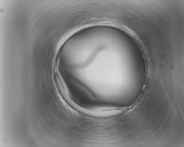 X0000052541520200507291837