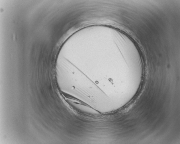 X0000052541521200507291837