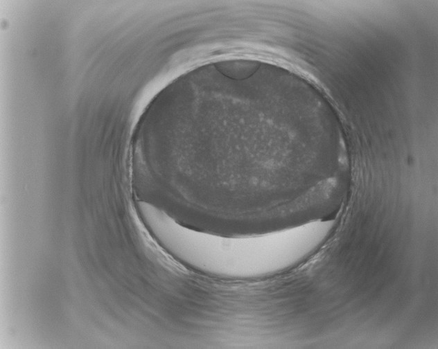 X0000052541522200507291837