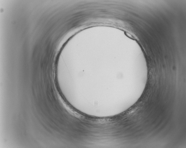 X0000052541523200507291837