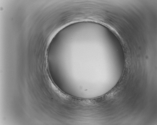 X0000052541524200507291837