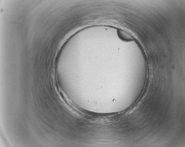 X0000052541525200507291837