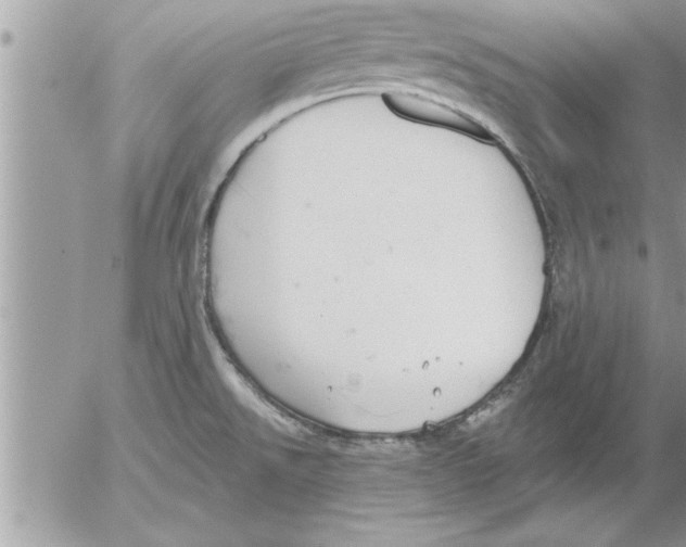 X0000052541526200507291837