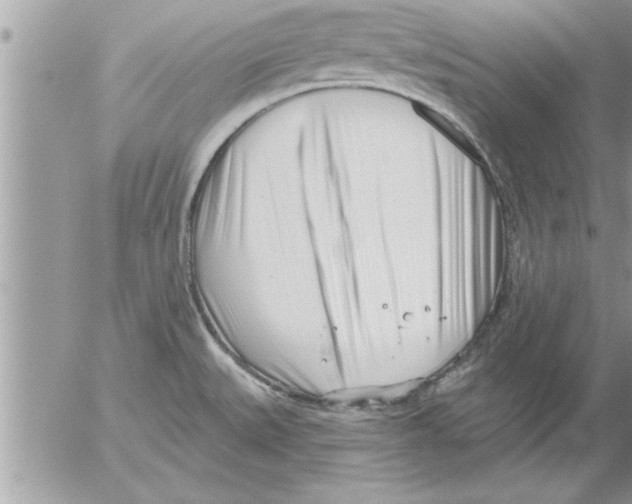 X0000052541527200507291837