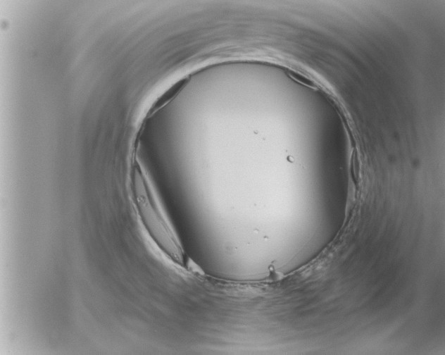 X0000052541528200507291837