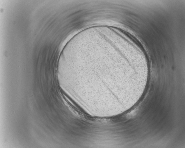 X0000052541529200507291837