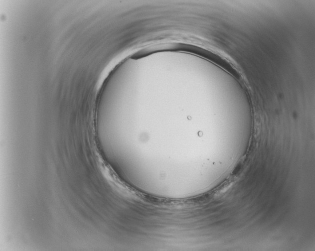 X0000052541530200507291837