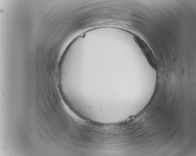 X0000052541531200507291837