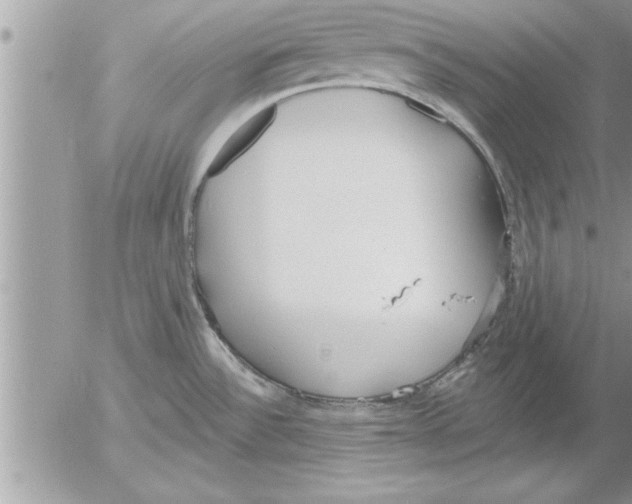 X0000052541532200507291837