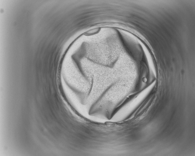 X0000052541533200507291837