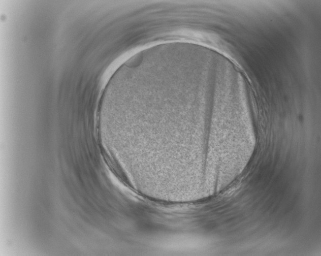 X0000052541535200507291837