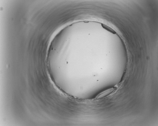 X0000052541536200507291837