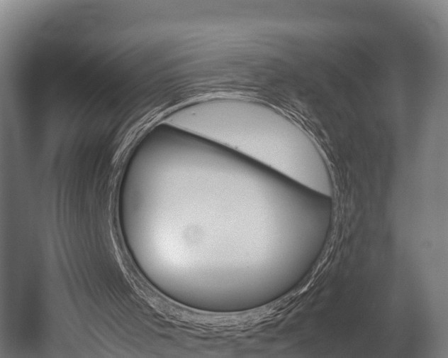 X0000052550001200507010857