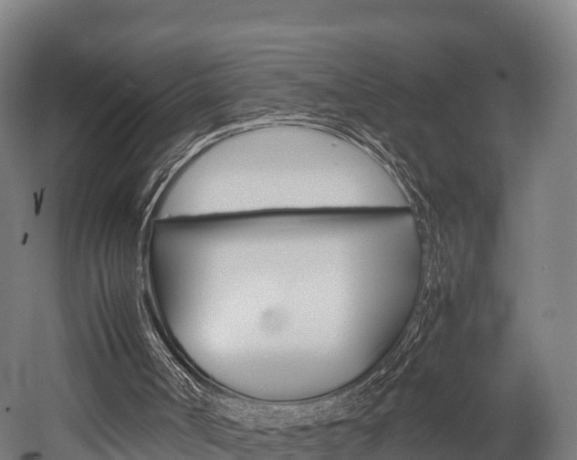 X0000052550002200507010857