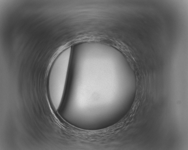 X0000052550003200507010857