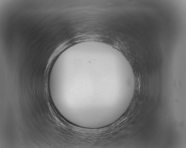 X0000052550004200507010857