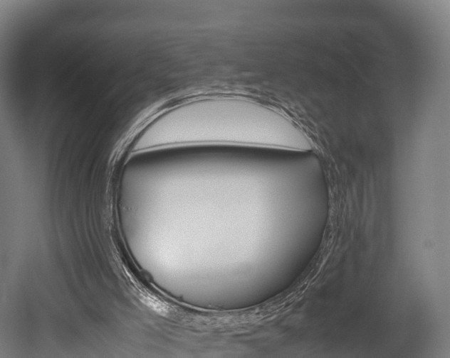 X0000052550005200507010857