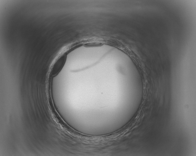 X0000052550006200507010857