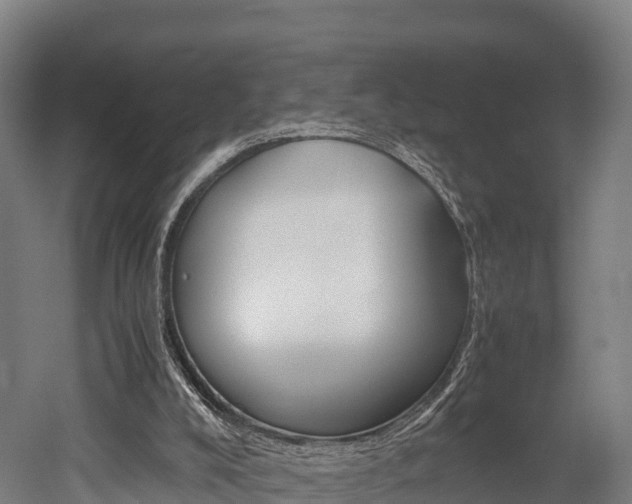 X0000052550008200507010857