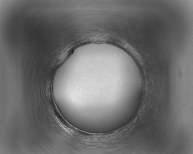 X0000052550009200507010857